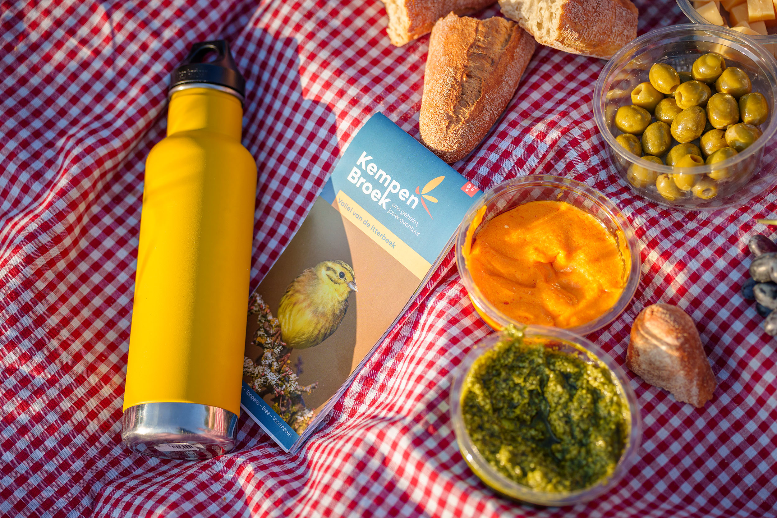 Picknickdeken met picknick en wandelkaart