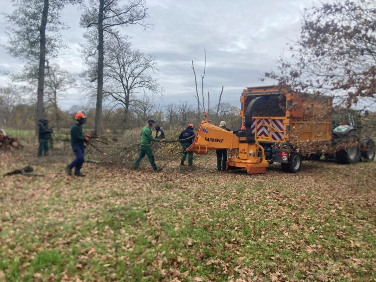 Houtkantbeheer Tosch-Langeren